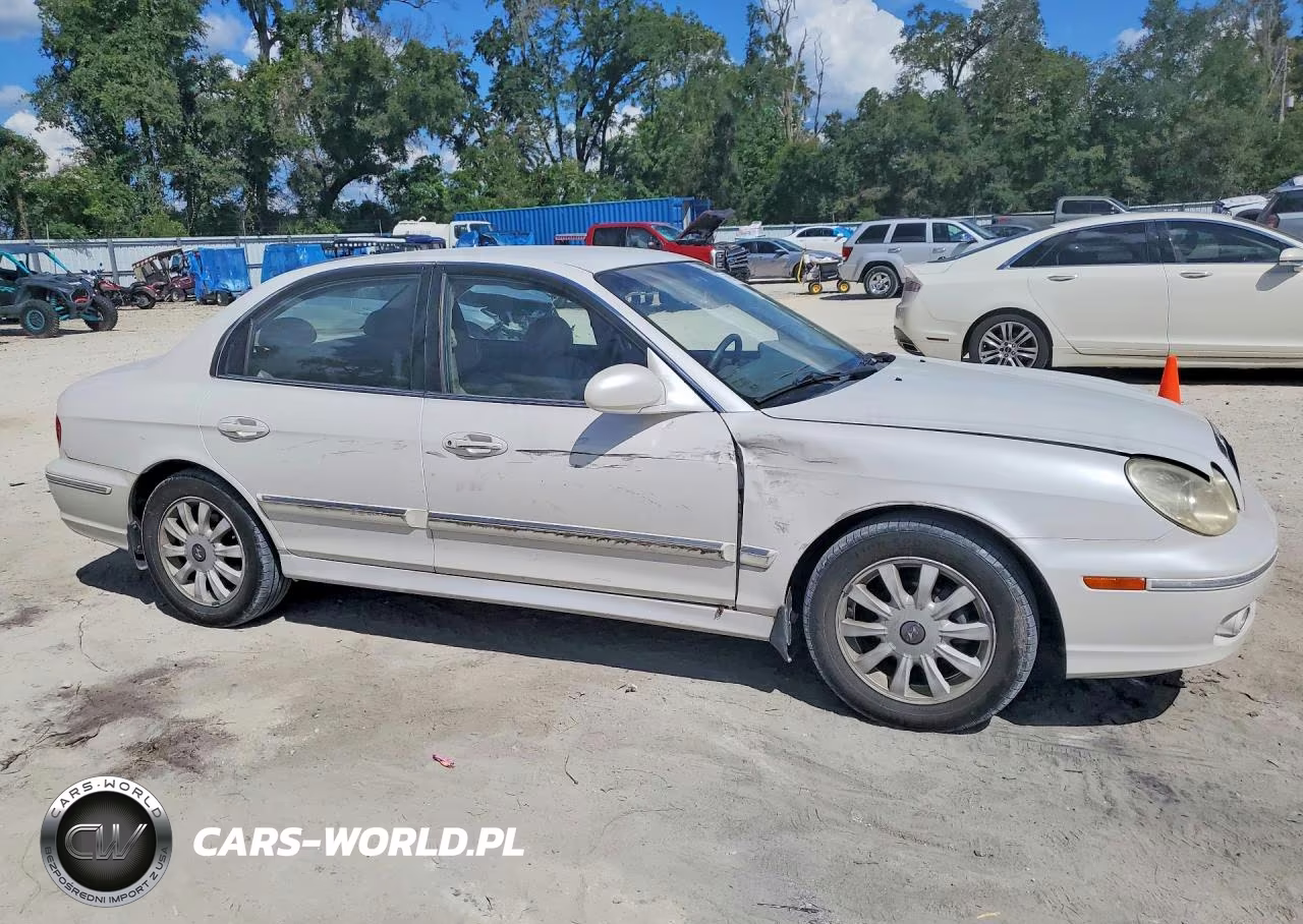 2002 Hyundai Sonata Gls VIN:KMHWF35H52A638441 - 4
