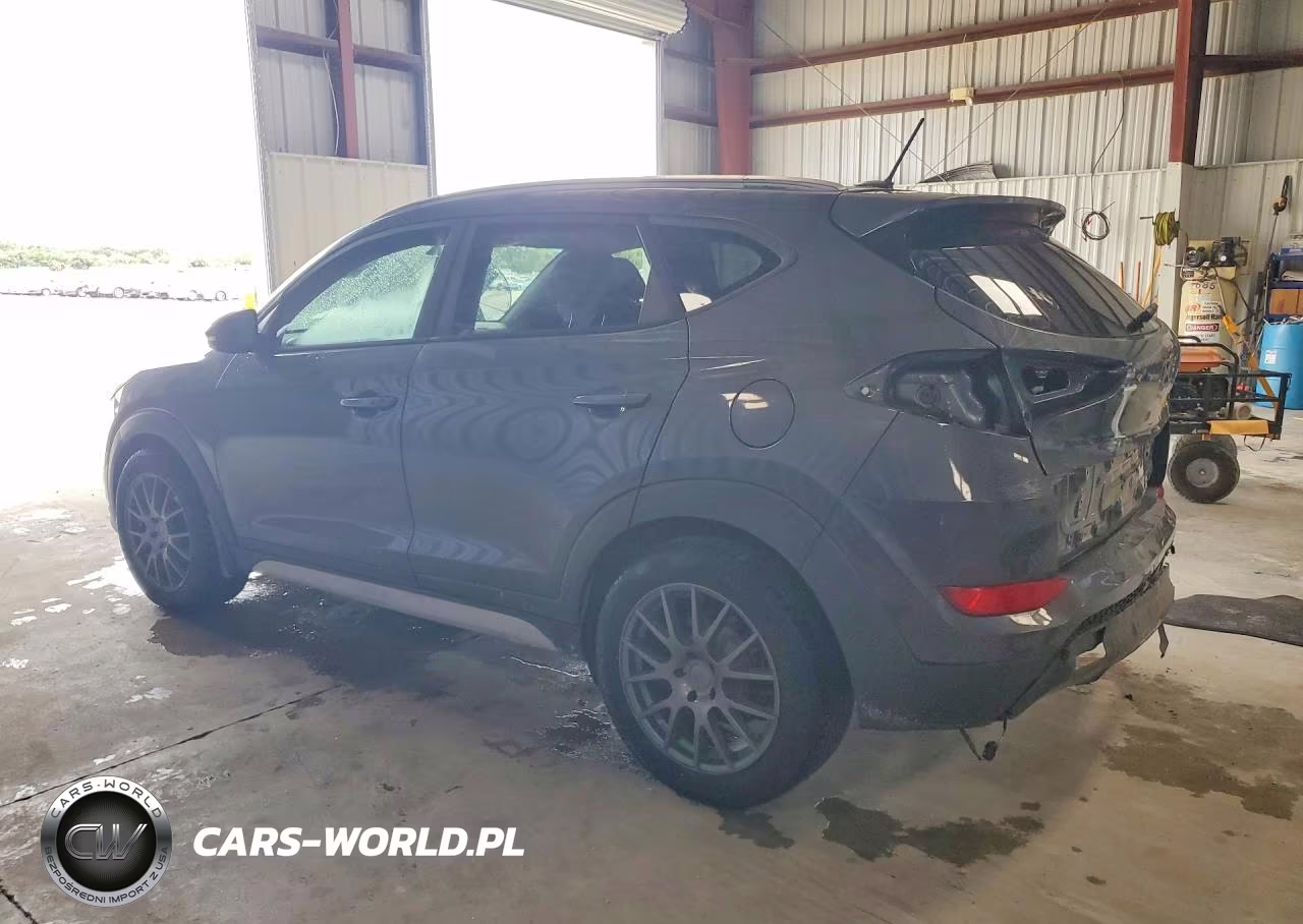 2017 Hyundai Tucson Sport VIN:KM8J3CA2XHU593699 - 2