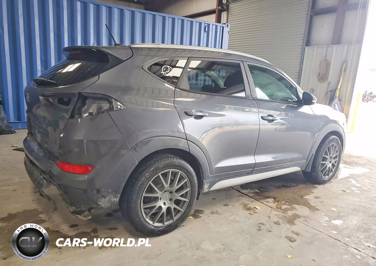 2017 Hyundai Tucson Sport VIN:KM8J3CA2XHU593699 - 3
