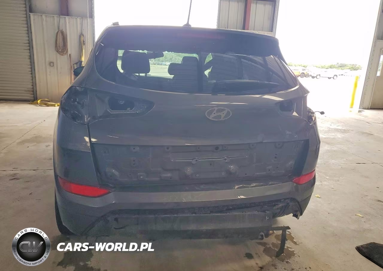 2017 Hyundai Tucson Sport VIN:KM8J3CA2XHU593699 - 6