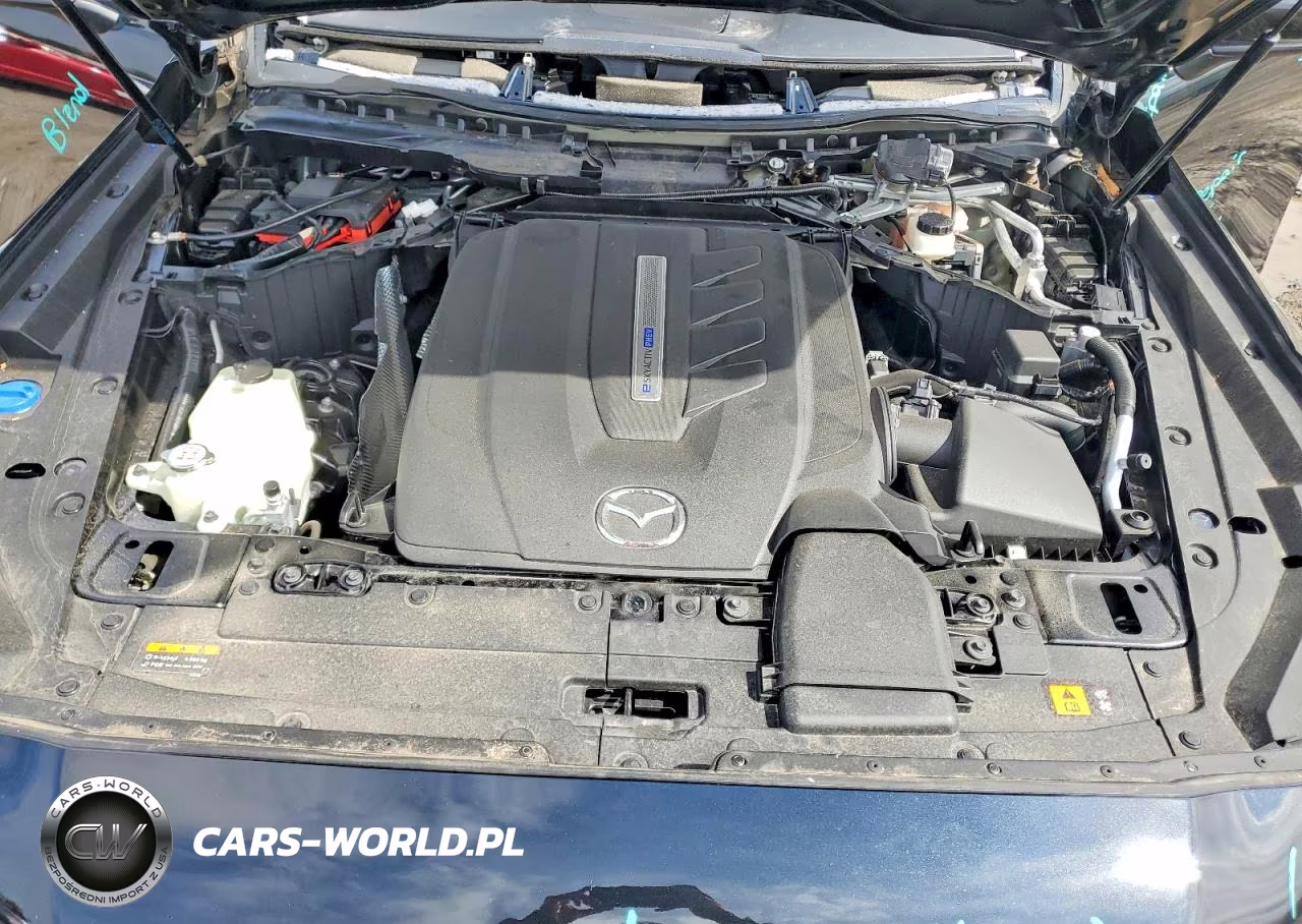 2024 Mazda Cx-90 Preferred VIN:JM3KKBHA6R1137955 - 12