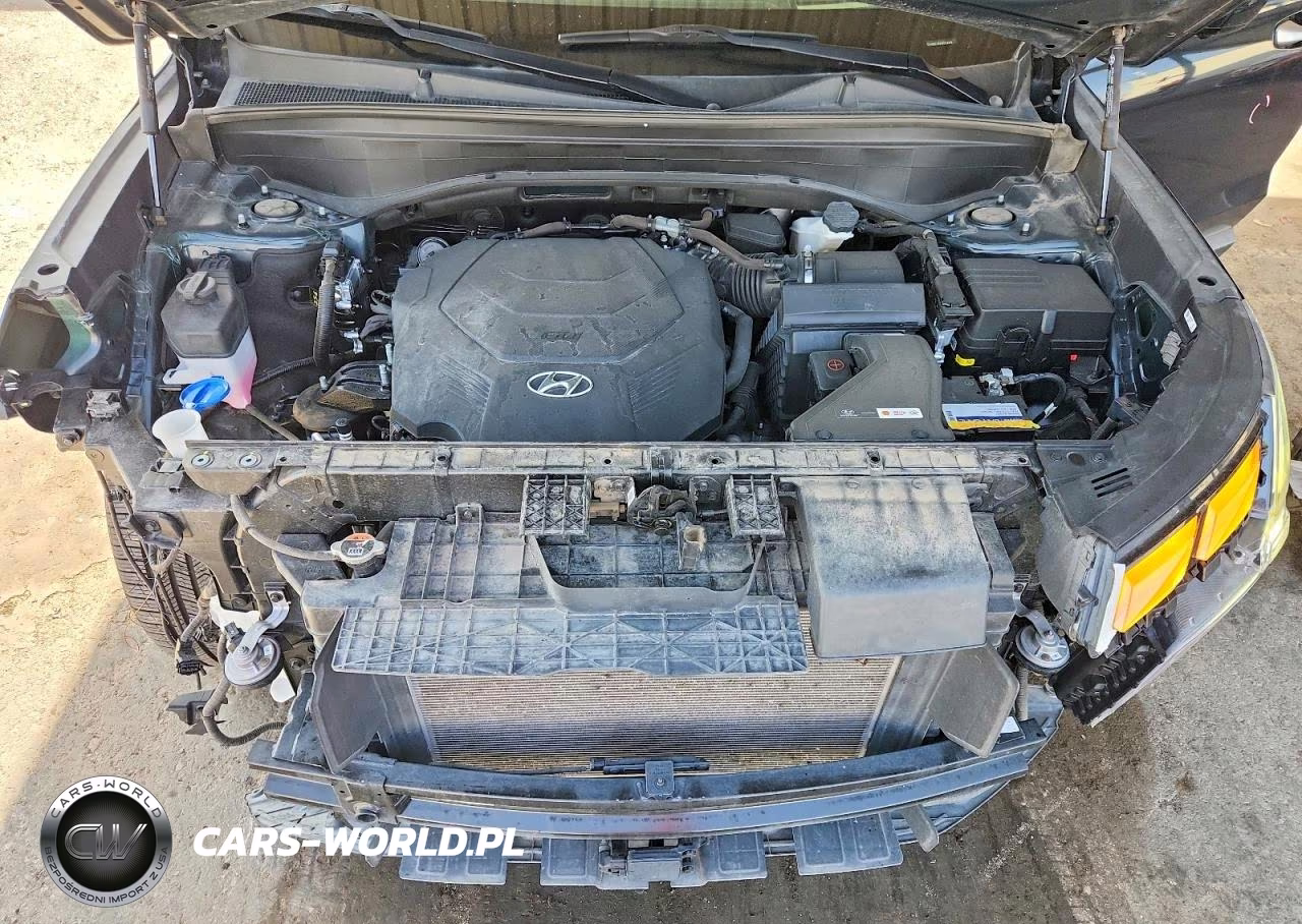 2023 Hyundai Palisade Calligraphy VIN:KM8R74GE0PU534478 - 12