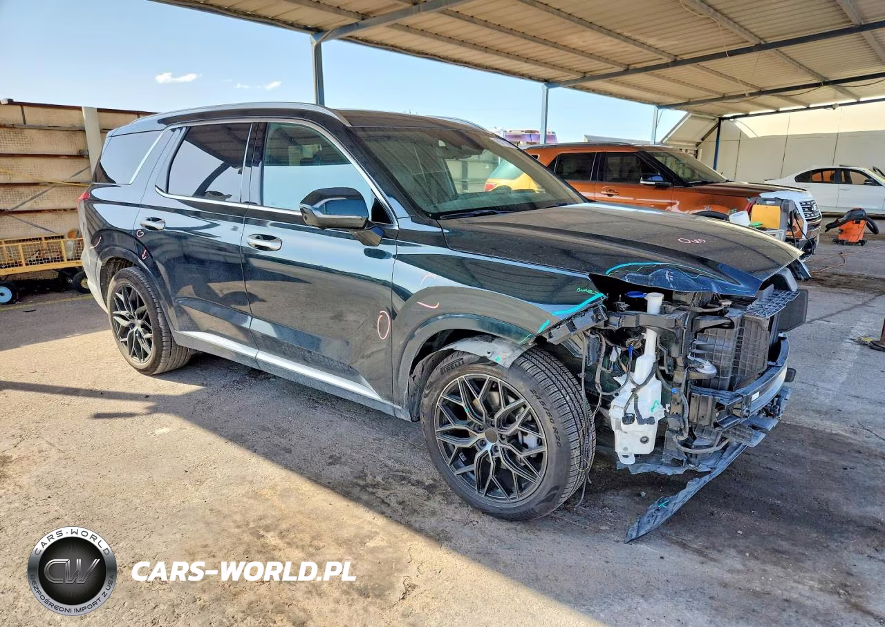 2023 Hyundai Palisade Calligraphy VIN:KM8R74GE0PU534478 - 4