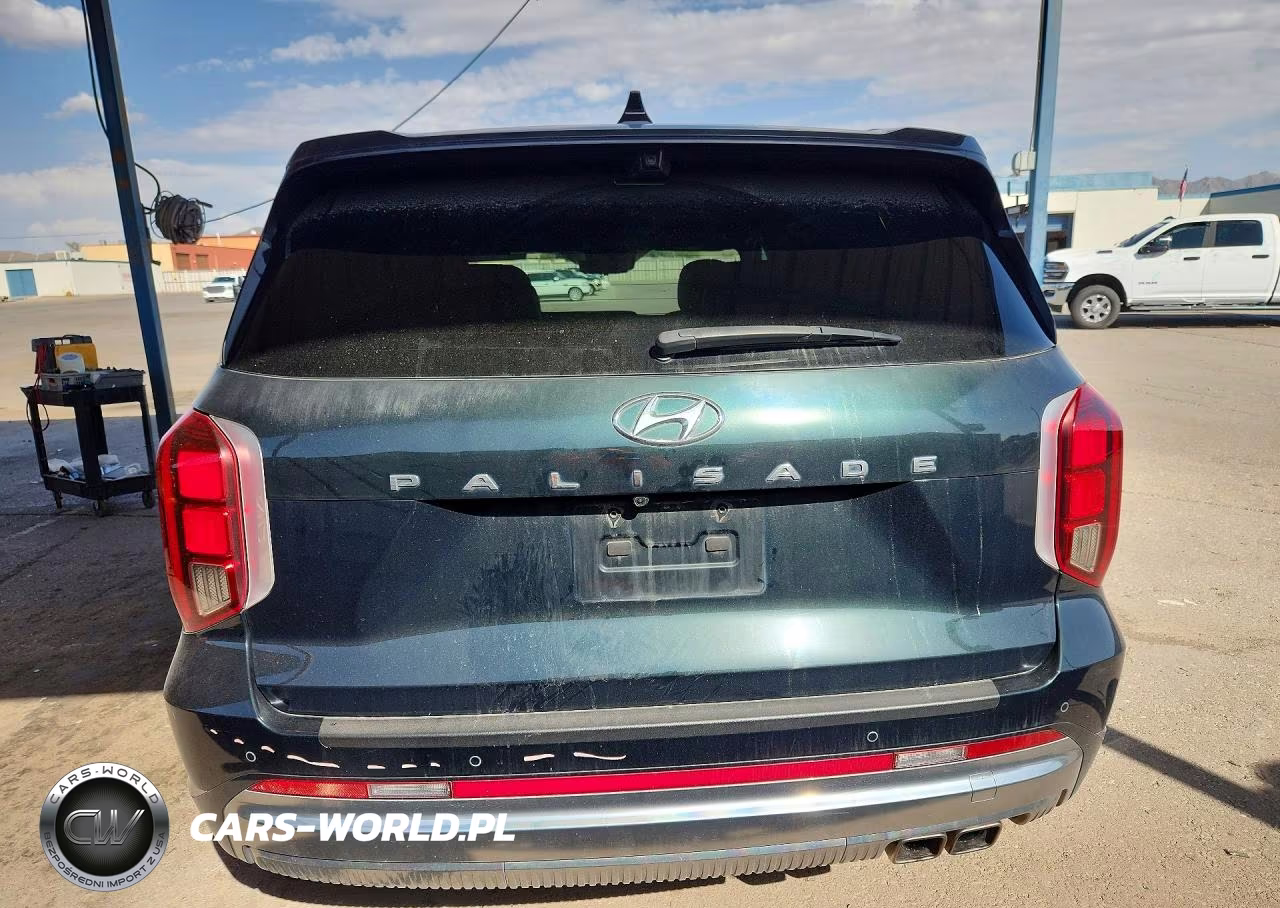 2023 Hyundai Palisade Calligraphy VIN:KM8R74GE0PU534478 - 6