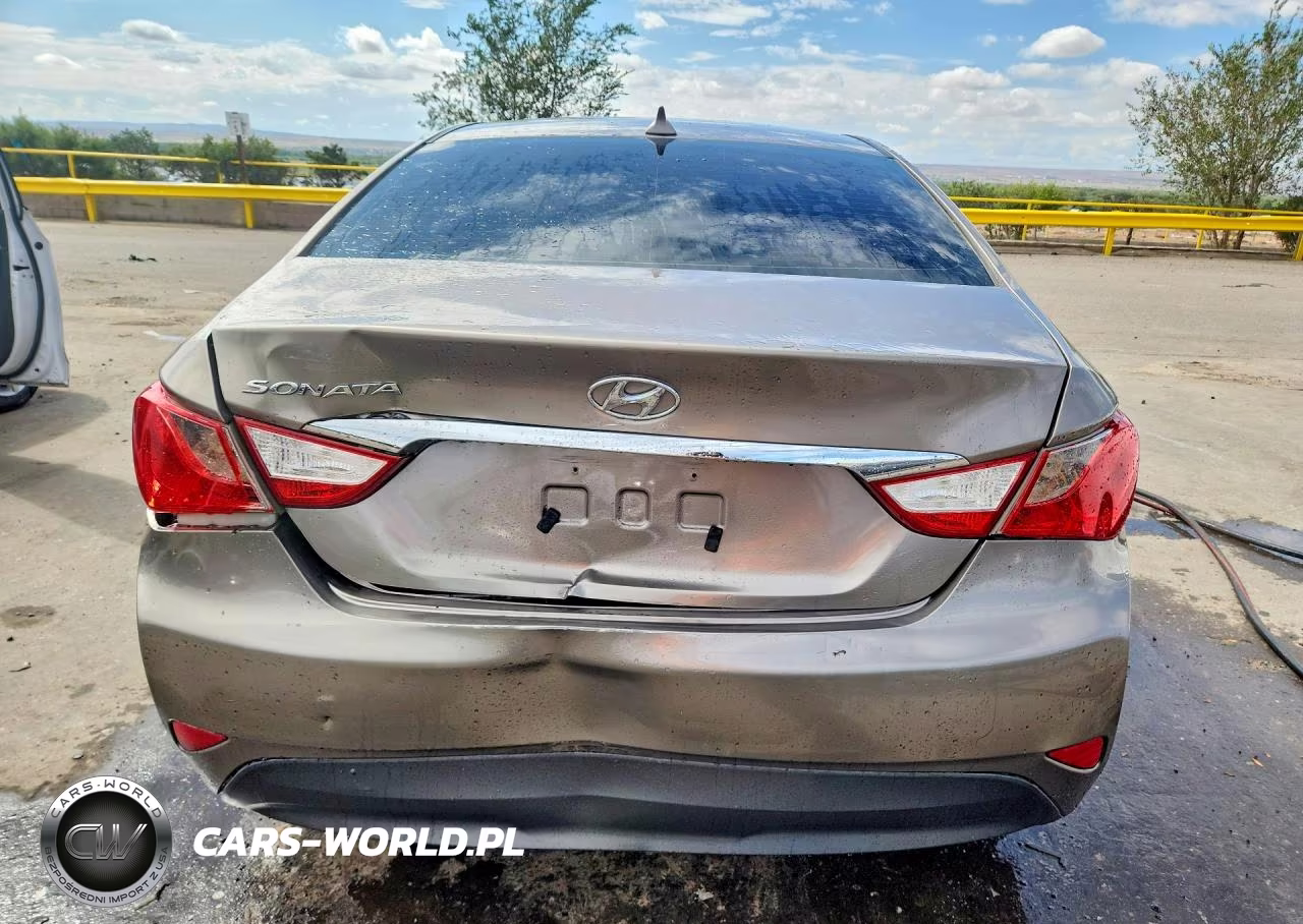 2014 Hyundai Sonata Gls VIN:5NPEB4AC5EH879666 - 6