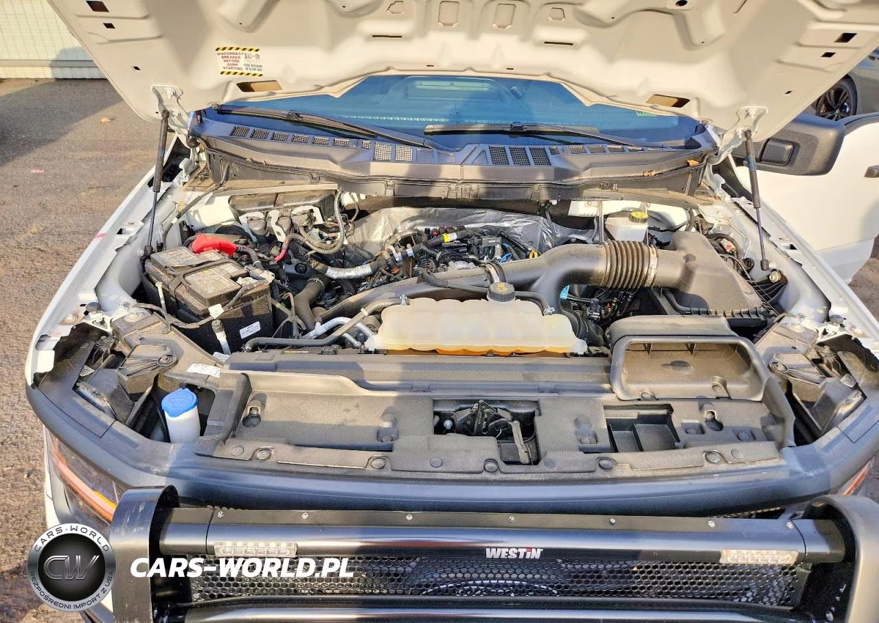 2024 Ford F150 Xl VIN:1FTMF1LP4RKF47143 - 11