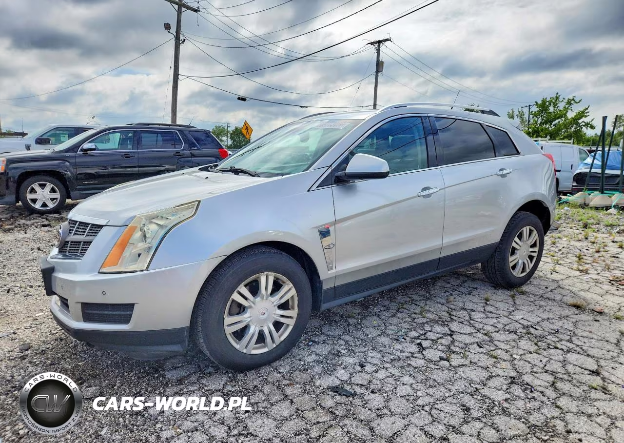2010 Cadillac Srx Luxury Collection VIN:3GYFNAEY6AS575479 - 1