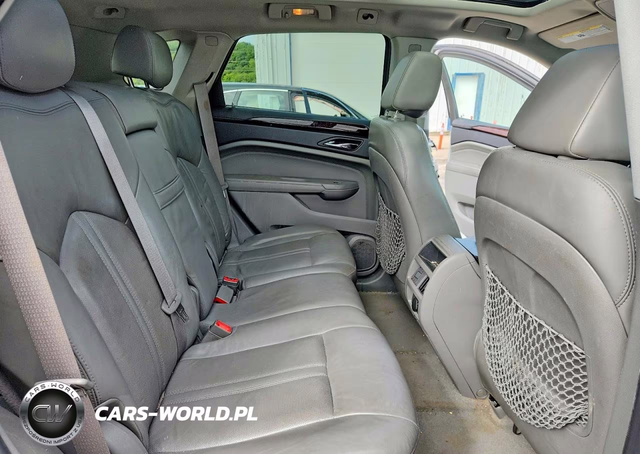 2010 Cadillac Srx Luxury Collection VIN:3GYFNAEY6AS575479 - 10