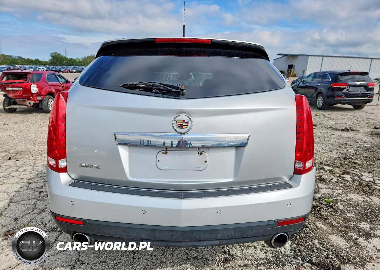 2010 Cadillac Srx Luxury Collection VIN:3GYFNAEY6AS575479 - 6