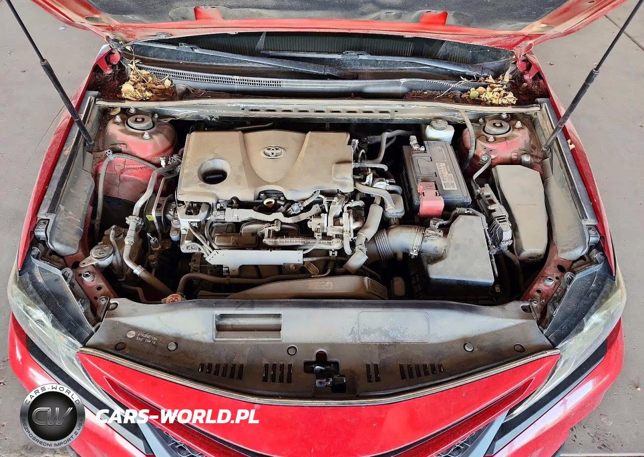 2019 Toyota Camry Se VIN:4T1B11HK2KU261512 - 11