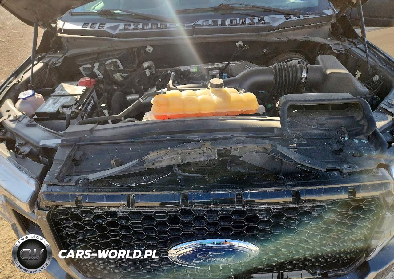 2019 Ford F150 Supercrew VIN:1FTEW1CPXKKC10874 - 11