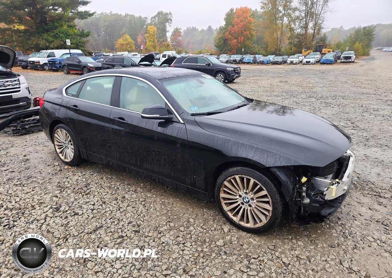 2016 BMW 428 Xi Gran Coupe Sulev VIN:WBA4C9C58GG139148 - 4