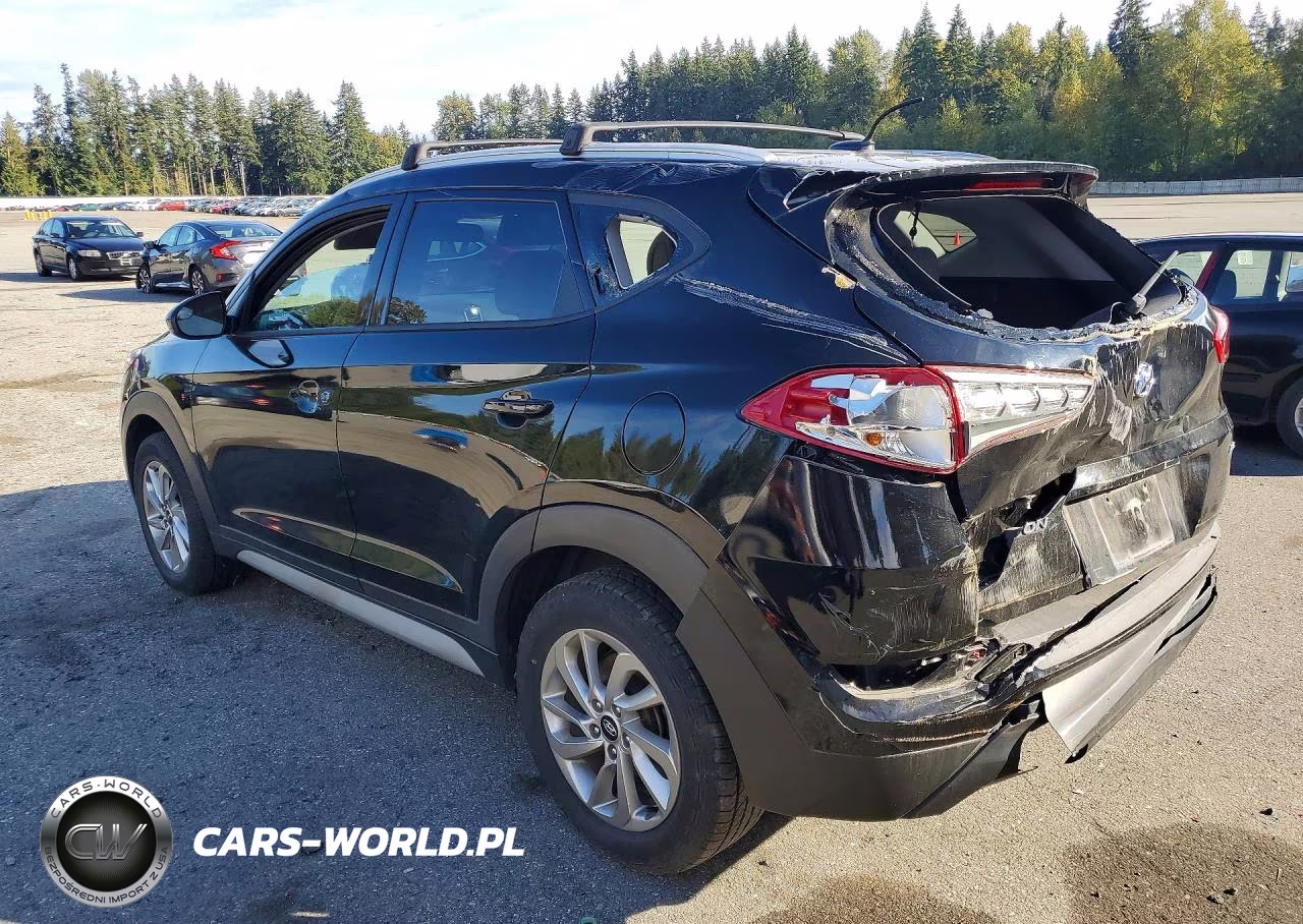 2017 Hyundai Tucson Se VIN:KM8J3CA49HU413730 - 2