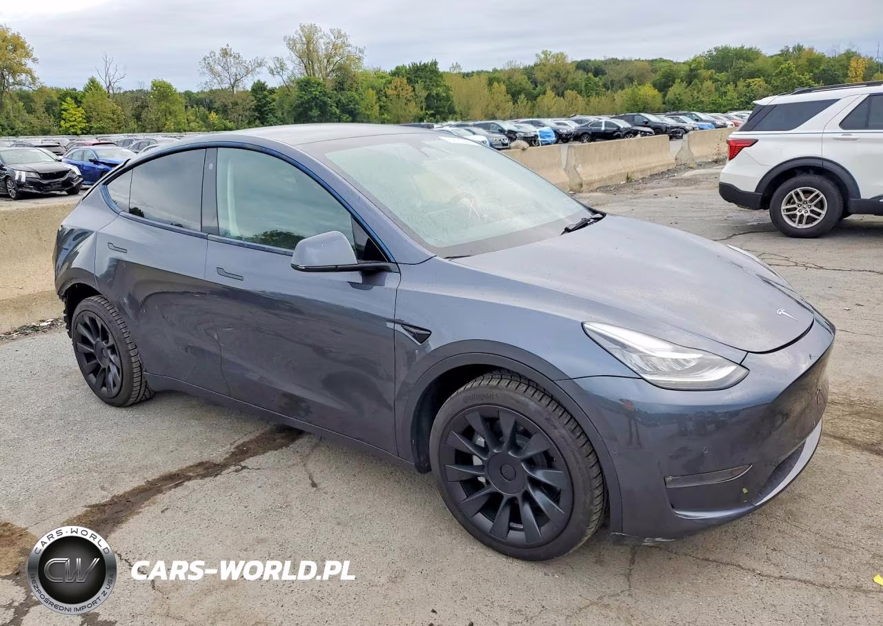 2022 Tesla Model Y VIN:7SAYGDEE2NA009267 - 4