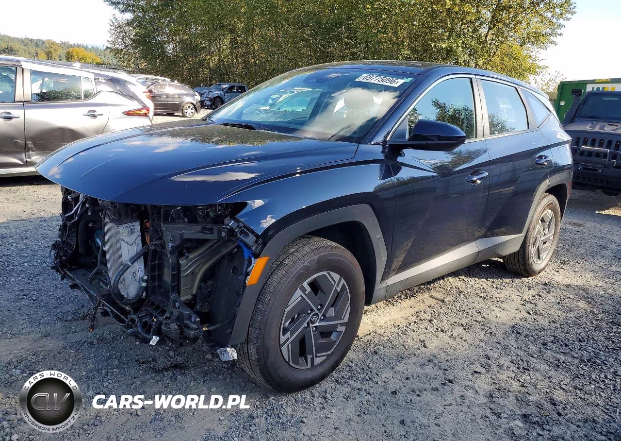 2026 Hyundai Tucson Blue Se