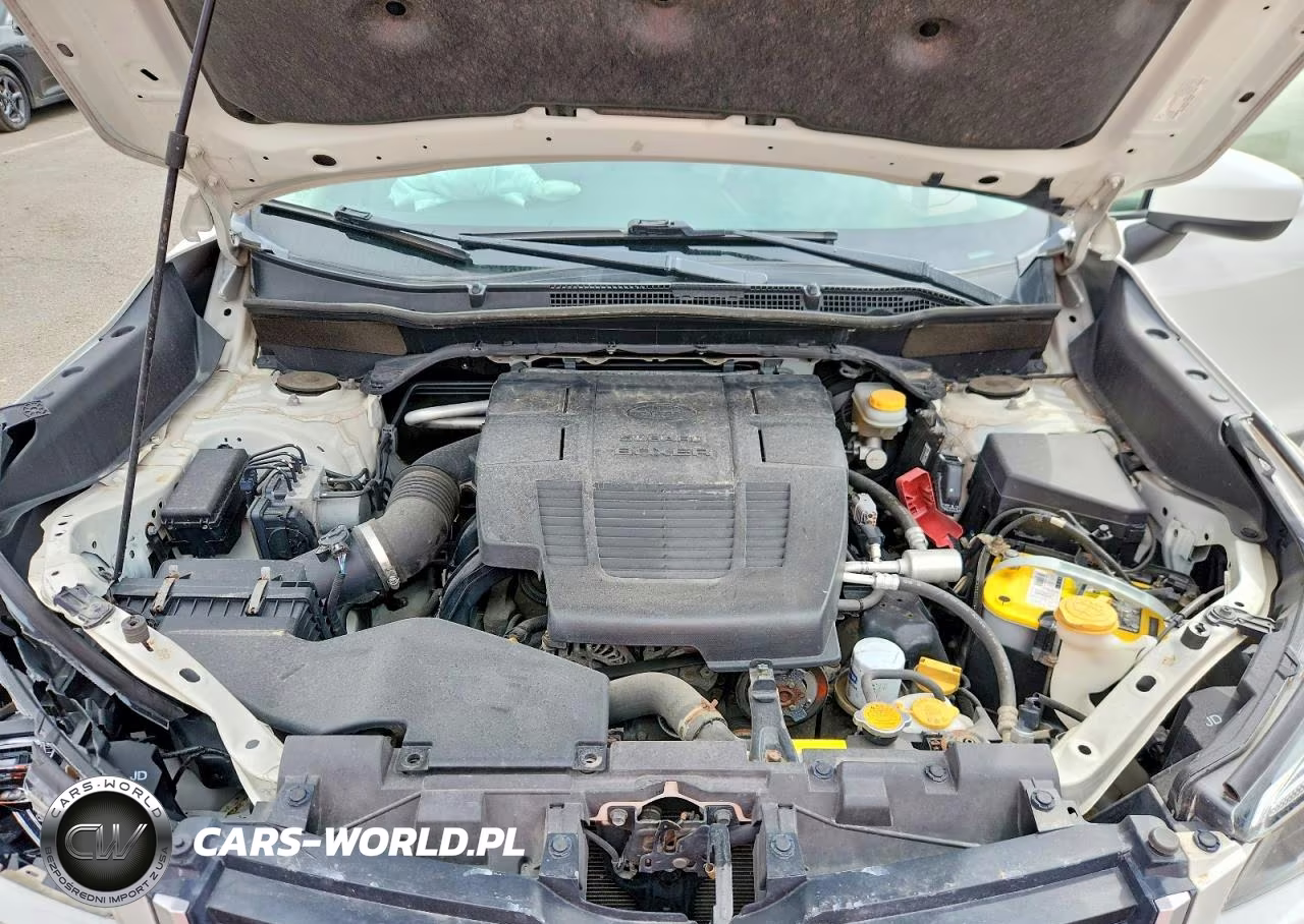 2019 Subaru Forester Premium VIN:JF2SKAEC2KH429965 - 12