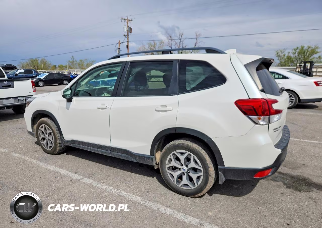 2019 Subaru Forester Premium VIN:JF2SKAEC2KH429965 - 2