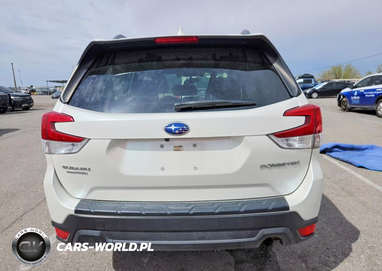 2019 Subaru Forester Premium VIN:JF2SKAEC2KH429965 - 6