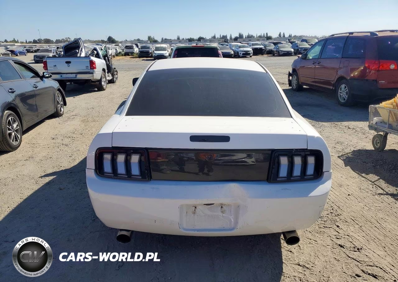 2007 Ford Mustang VIN:1ZVHT80N375291995 - 6