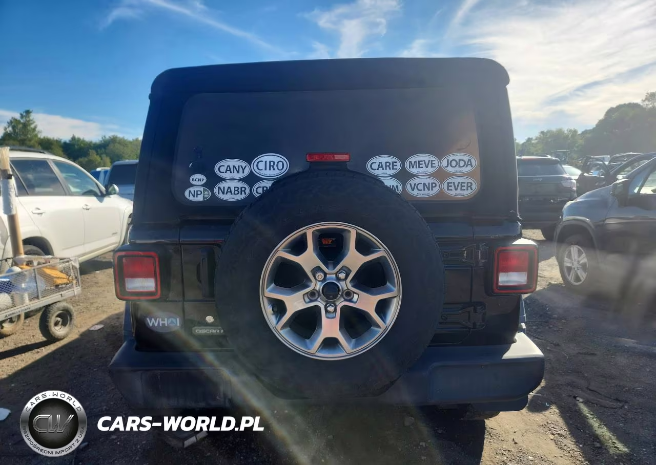 2020 Jeep Wrangler Unlimited Sport VIN:1C4HJXDG3LW241813 - 6