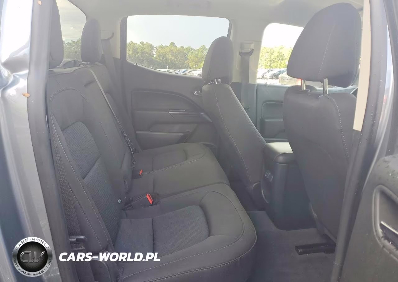 2019 Chevrolet Colorado Lt VIN:1GCGSCEN1K1306569 - 10