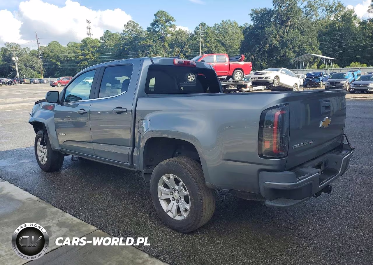 2019 Chevrolet Colorado Lt VIN:1GCGSCEN1K1306569 - 2
