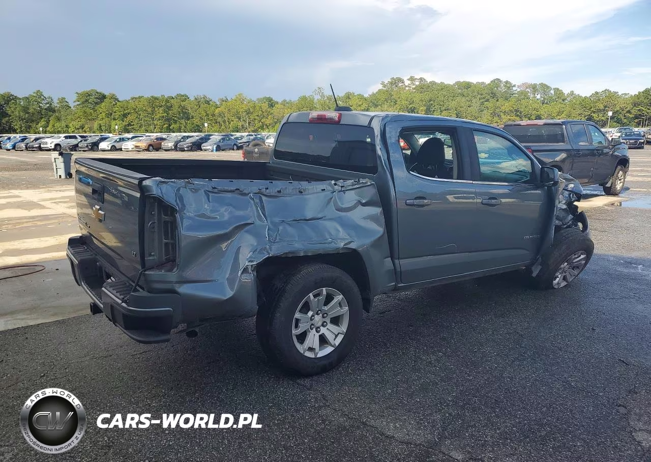 2019 Chevrolet Colorado Lt VIN:1GCGSCEN1K1306569 - 3