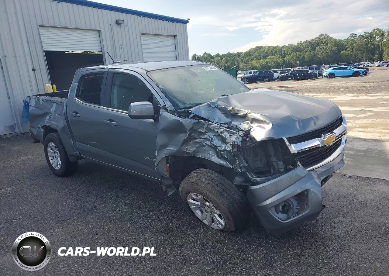 2019 Chevrolet Colorado Lt VIN:1GCGSCEN1K1306569 - 4