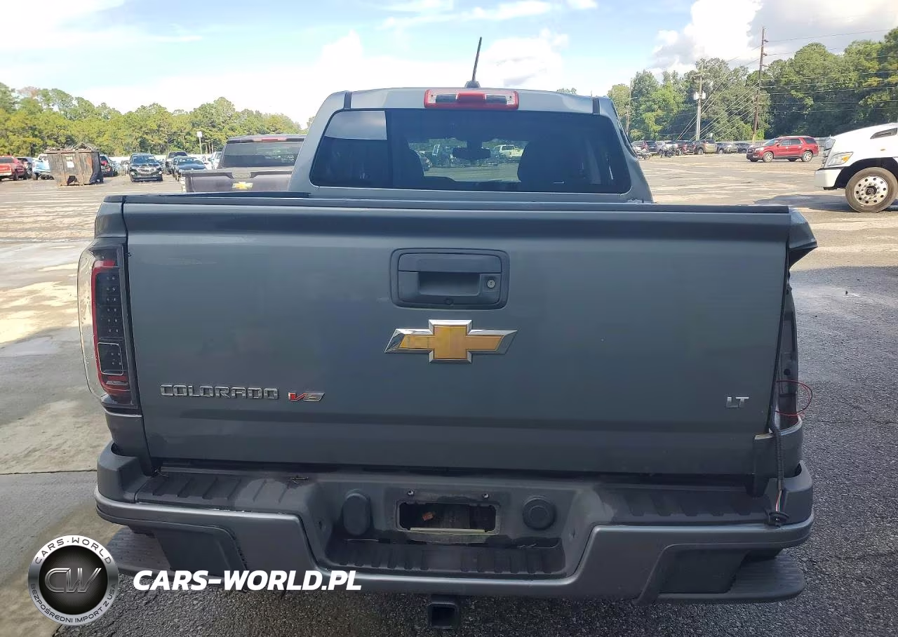 2019 Chevrolet Colorado Lt VIN:1GCGSCEN1K1306569 - 6