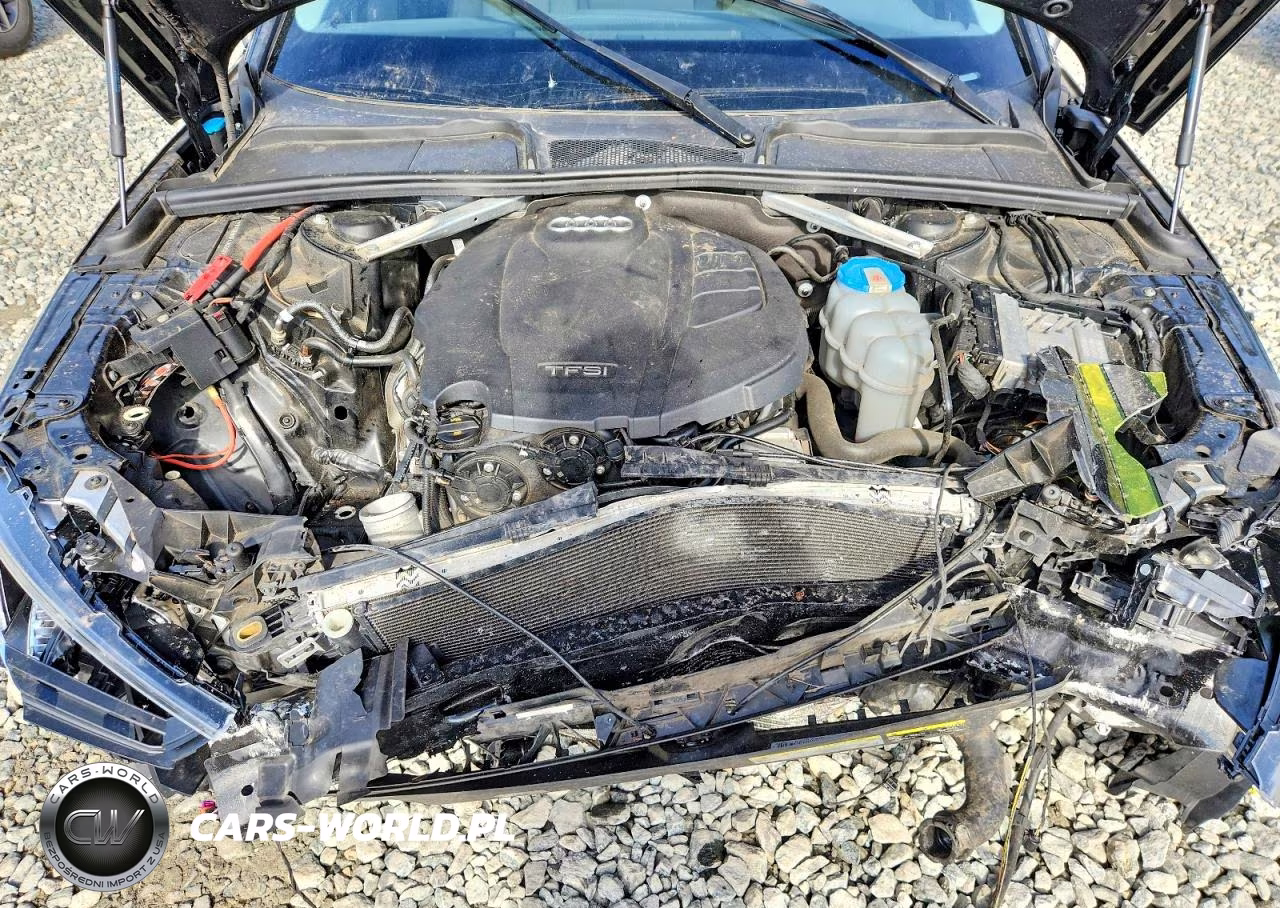 2019 Audi A4 Premium Plus VIN:WAUENAF42KA007274 - 11