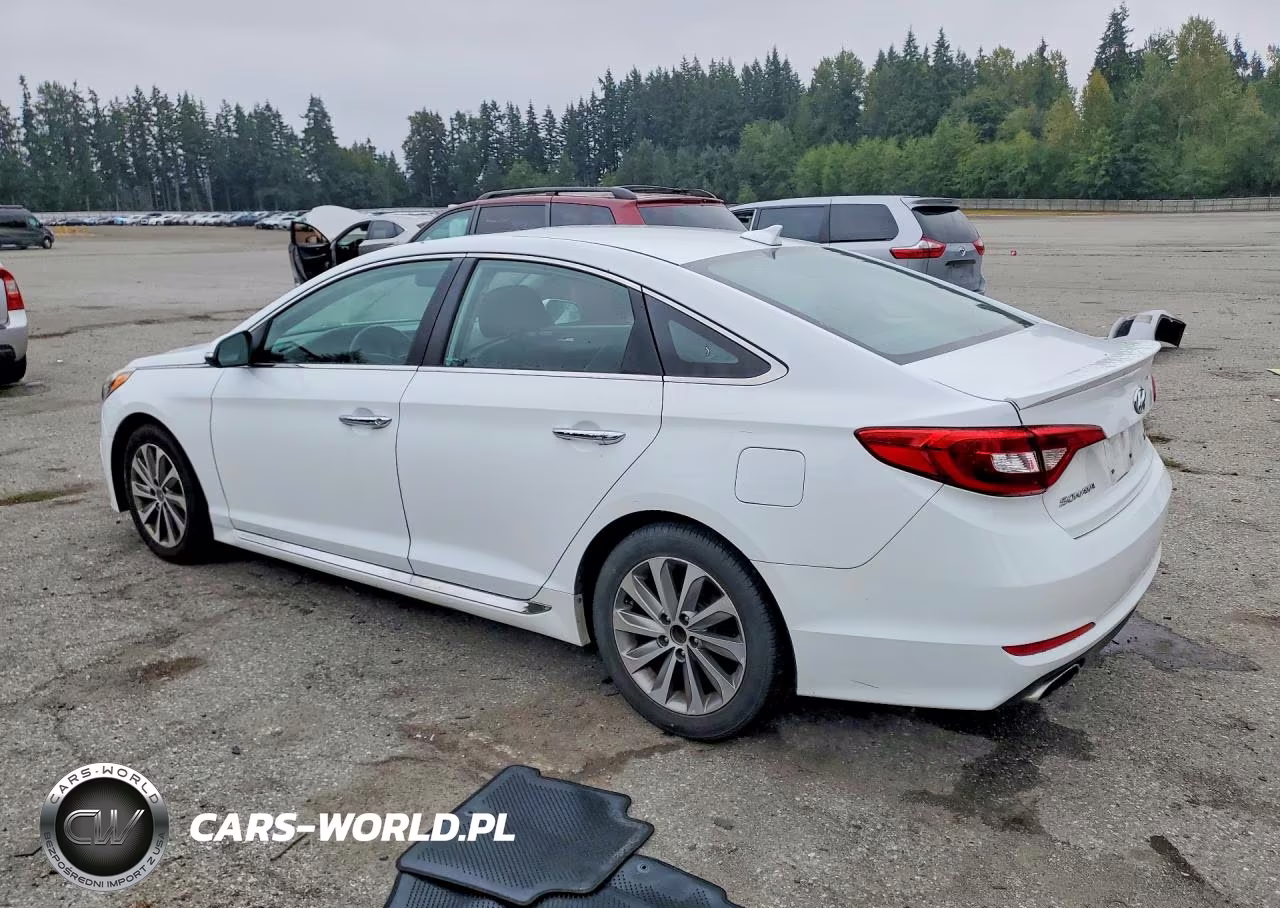 2016 Hyundai Sonata Sport VIN:5NPE34AF4GH308759 - 2