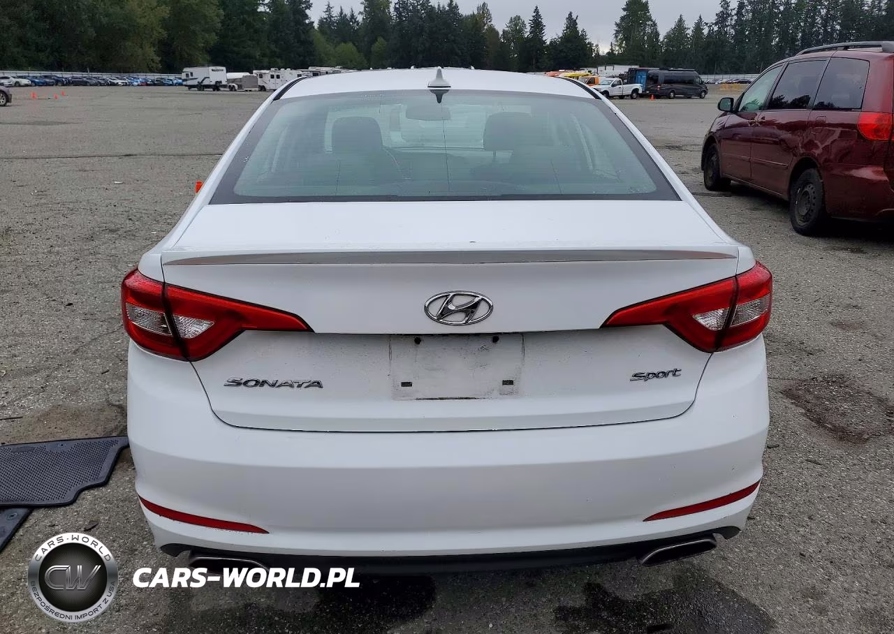 2016 Hyundai Sonata Sport VIN:5NPE34AF4GH308759 - 6