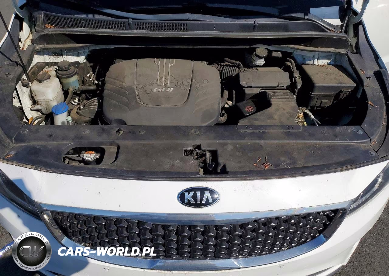 2017 Kia Sedona Lx VIN:KNDMB5C15H6250758 - 12