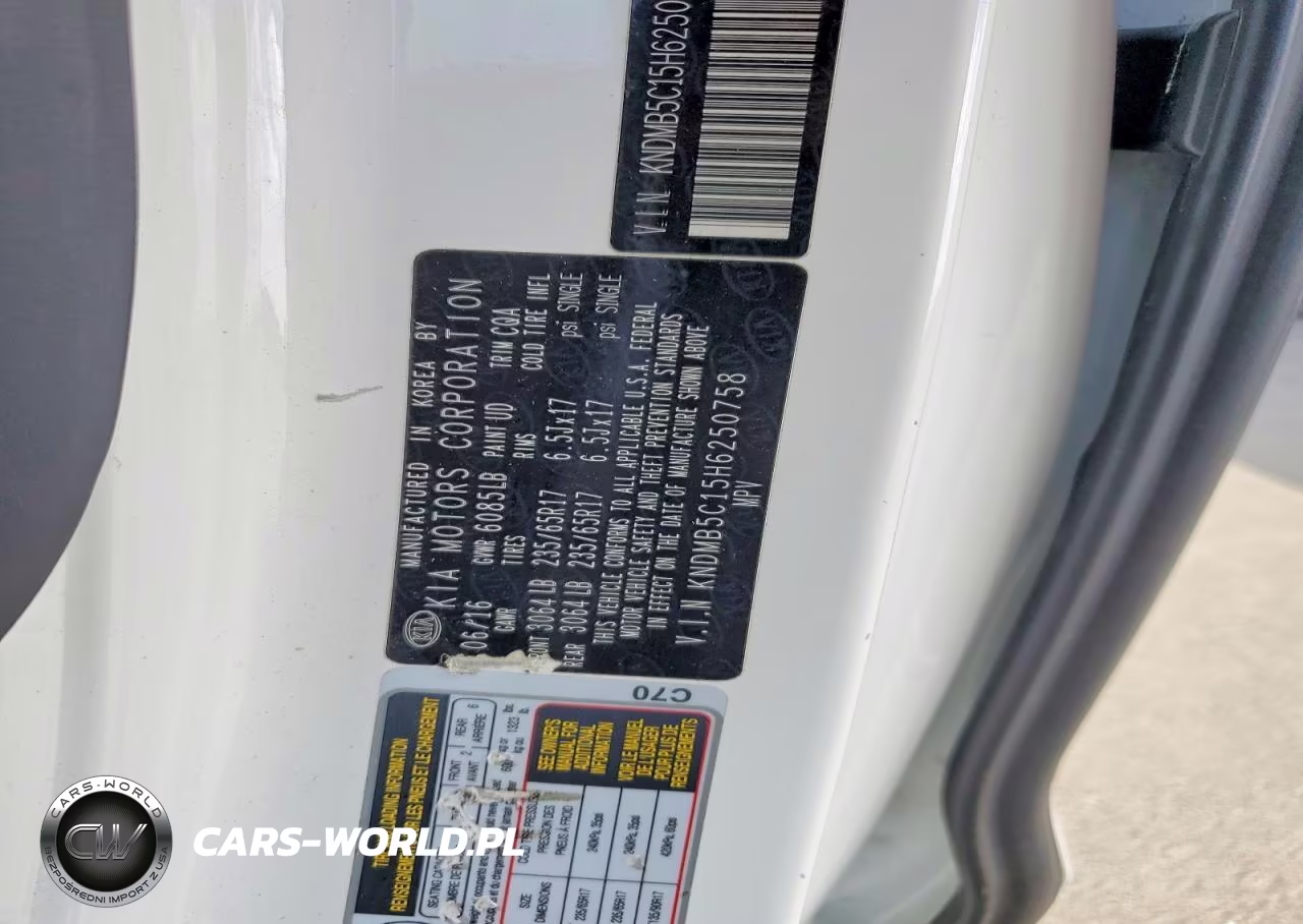 2017 Kia Sedona Lx VIN:KNDMB5C15H6250758 - 13