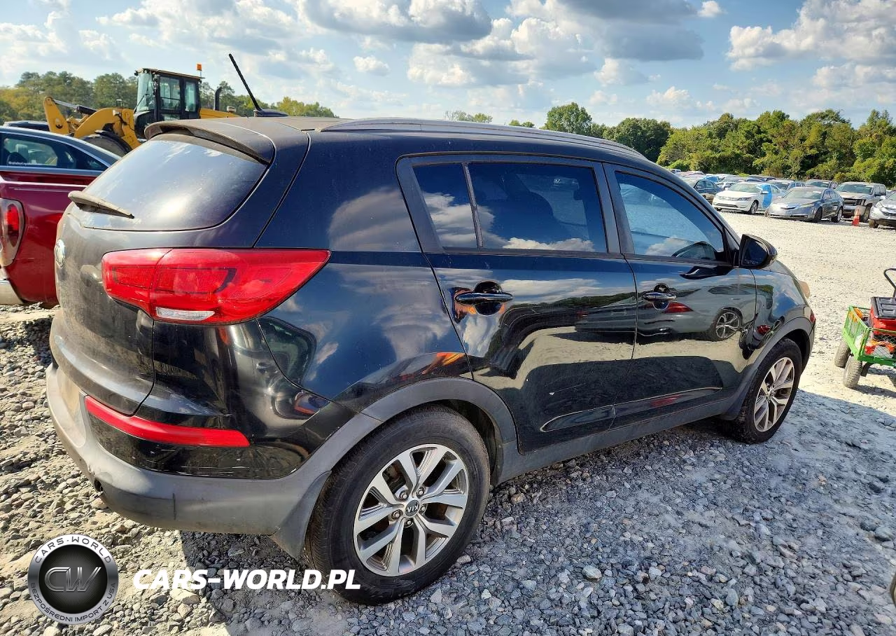 2016 Kia Sportage Lx VIN:KNDPB3AC3G7802997 - 3