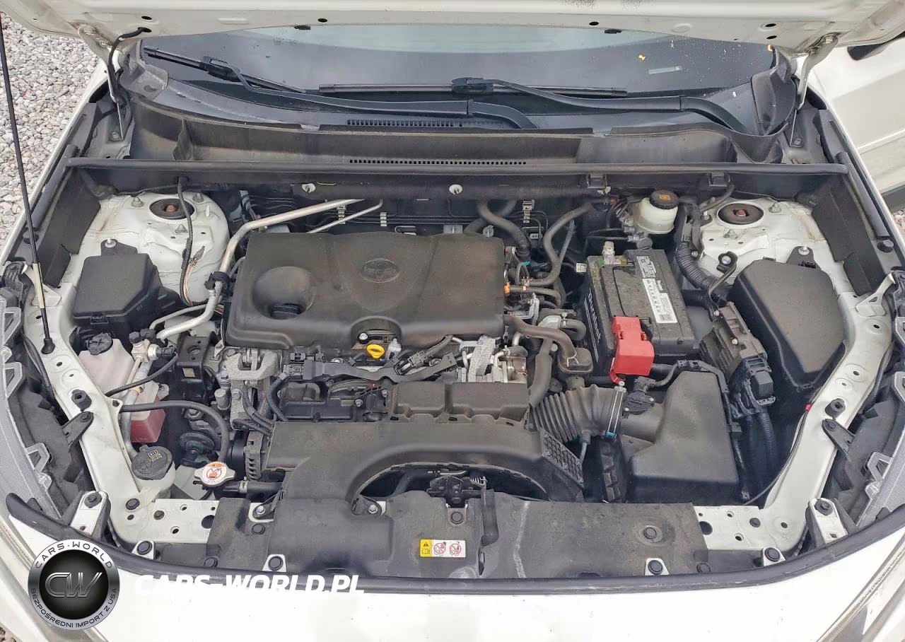 2019 Toyota Rav4 Limited VIN:JTMN1RFV8KD517598 - 12