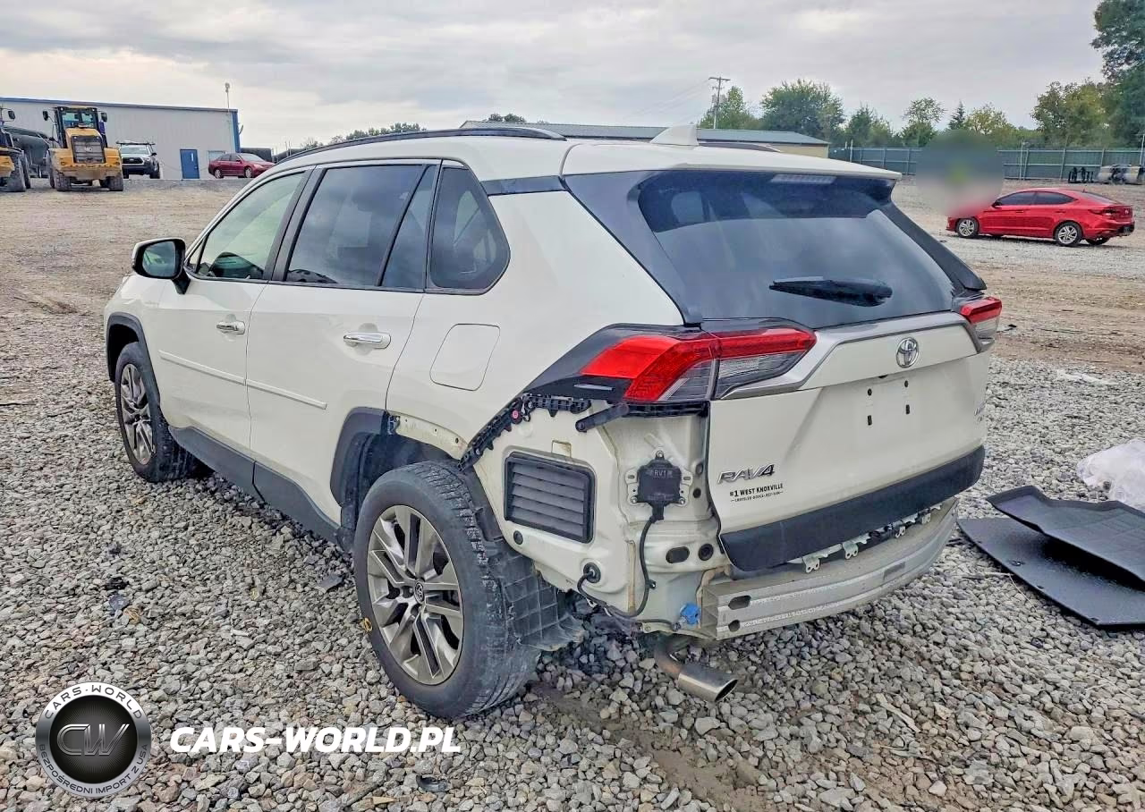 2019 Toyota Rav4 Limited VIN:JTMN1RFV8KD517598 - 2