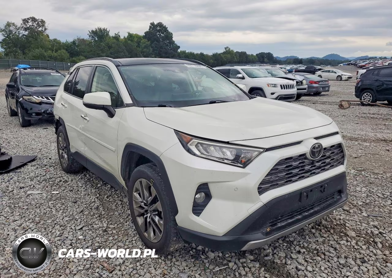 2019 Toyota Rav4 Limited VIN:JTMN1RFV8KD517598 - 4