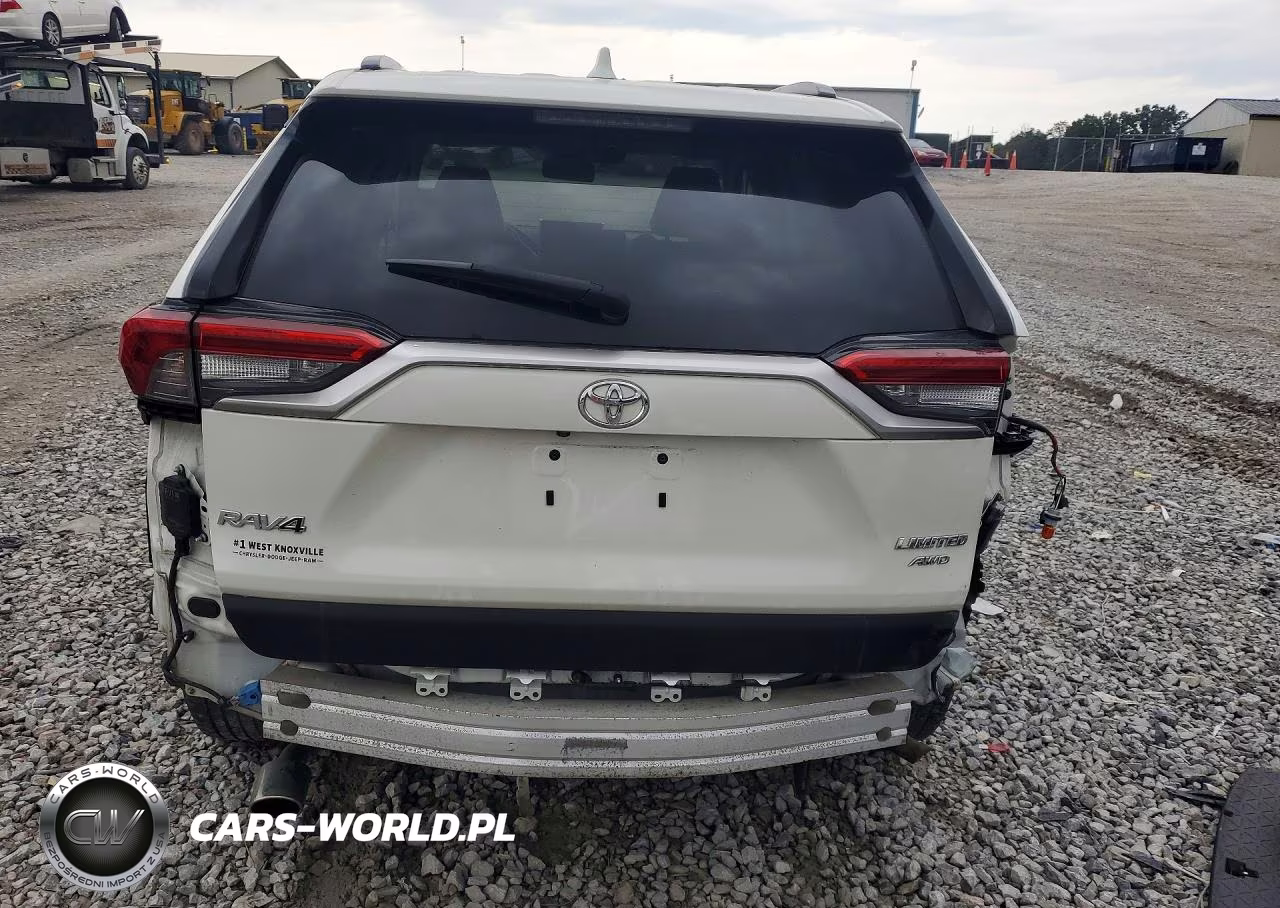 2019 Toyota Rav4 Limited VIN:JTMN1RFV8KD517598 - 6