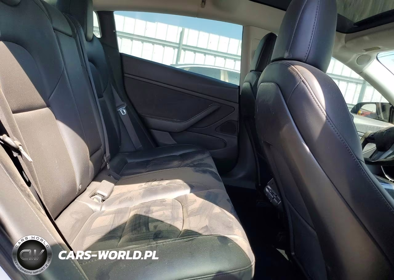 2020 Tesla Model 3 VIN:5YJ3E1EC1LF714233 - 10