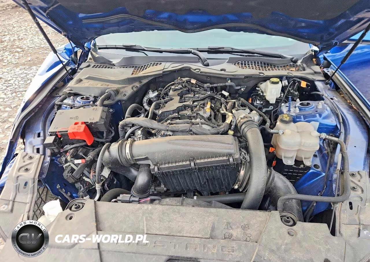 2024 Ford Mustang VIN:1FA6P8TH1R5127187 - 11