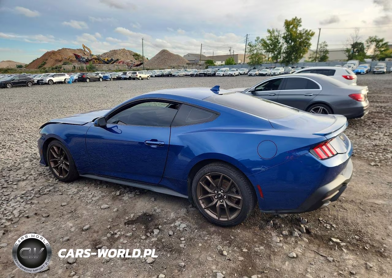 2024 Ford Mustang VIN:1FA6P8TH1R5127187 - 2