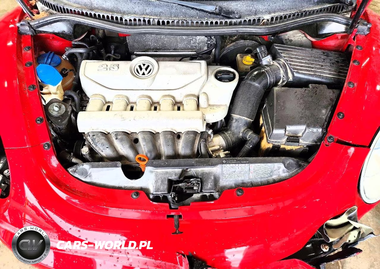 2008 Volkswagen New Beetle Convertible Se VIN:3VWRF31Y88M416041 - 11