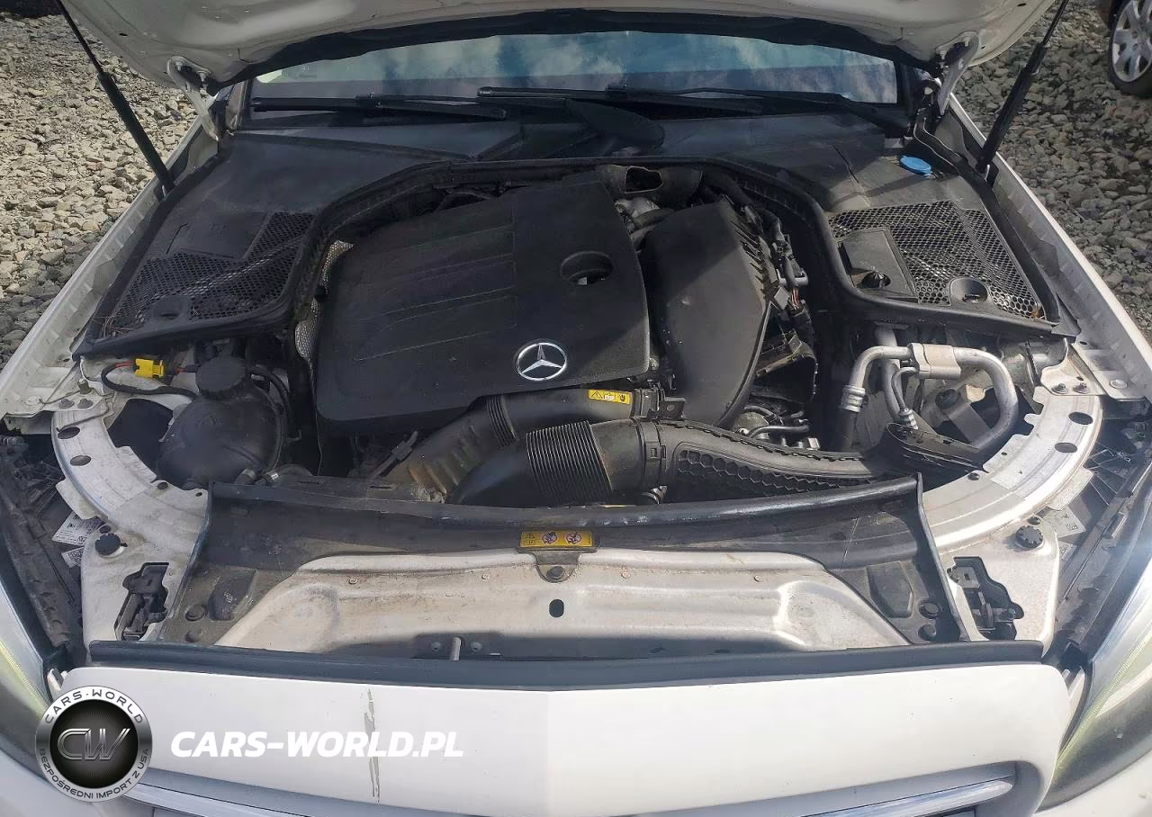 2019 Mercedes-Benz C 300 VIN:55SWF8DB0KU301499 - 11