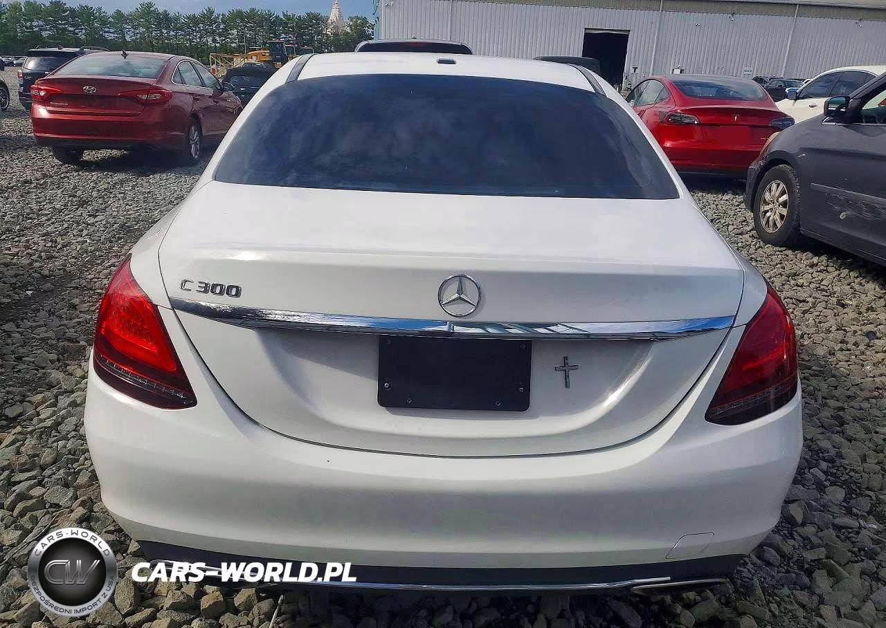 2019 Mercedes-Benz C 300 VIN:55SWF8DB0KU301499 - 6