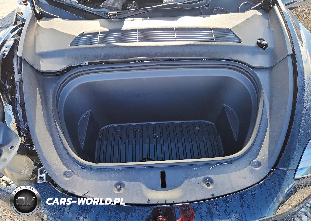 2023 Tesla Model Y VIN:7SAYGDEFXPF941571 - 11
