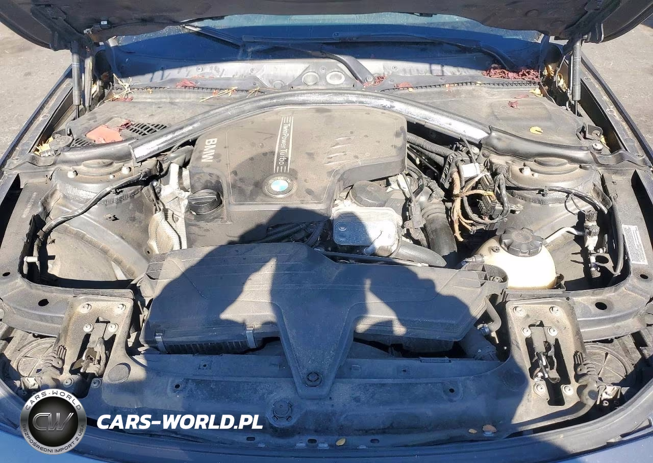 2013 BMW 320 I VIN:WBA3B1C52DF462323 - 11