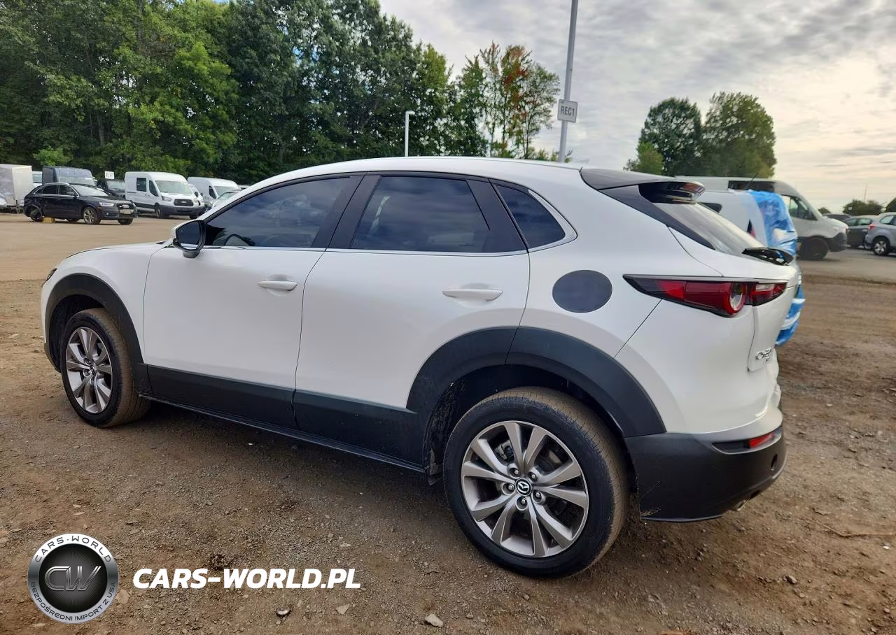 2020 Mazda Cx-30 Preferred VIN:3MVDMBDL0LM107040 - 2