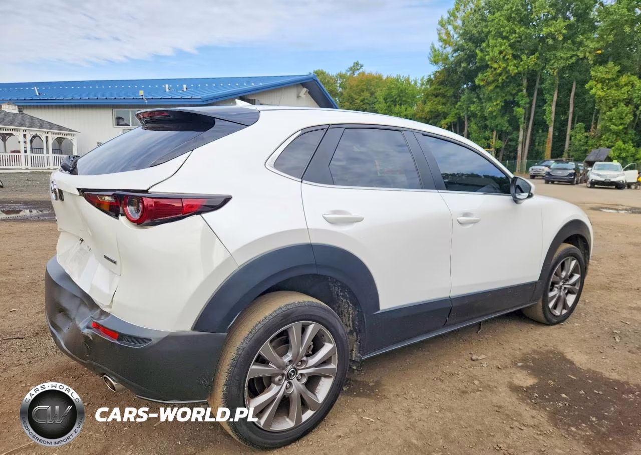 2020 Mazda Cx-30 Preferred VIN:3MVDMBDL0LM107040 - 3