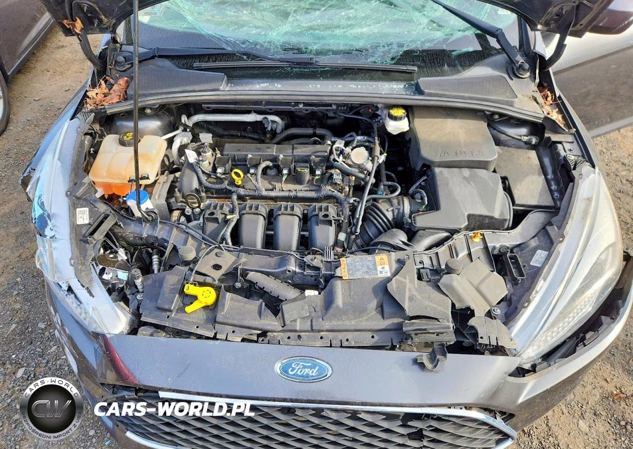 2018 Ford Focus Se VIN:1FADP3F29JL290865 - 11
